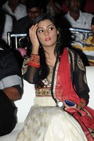 Anisha Photo Gallery